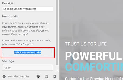 Adicionando Ícone do site ou favicon no wordpress