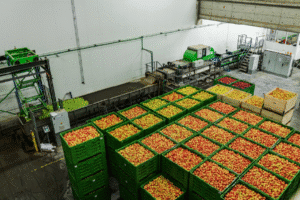 Indústria de alimentos: A Importância Da Dimensão Econômica E Social